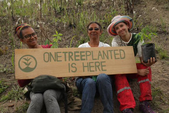 Designs By Uchita partners with reforestation non-profit One Tree Planted